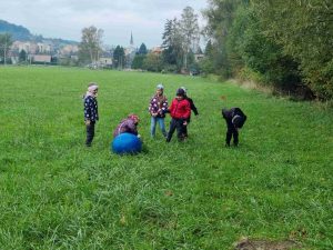 IMG-20231020-WA0021