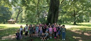 IMG_20240606_111946