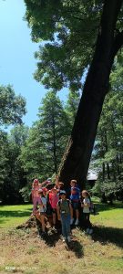IMG_20240606_112348