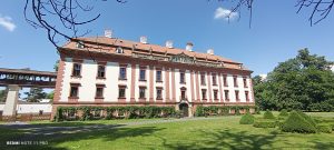 IMG_20240606_113924