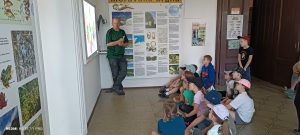 IMG_20240606_122354