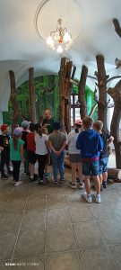 IMG_20240606_124205
