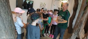 IMG_20240606_124229