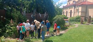 IMG_20240606_130251