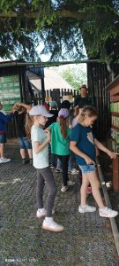 IMG_20240606_130509