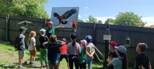 IMG_20240606_132031