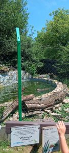 IMG_20240606_132207