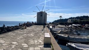 IMG_5055
